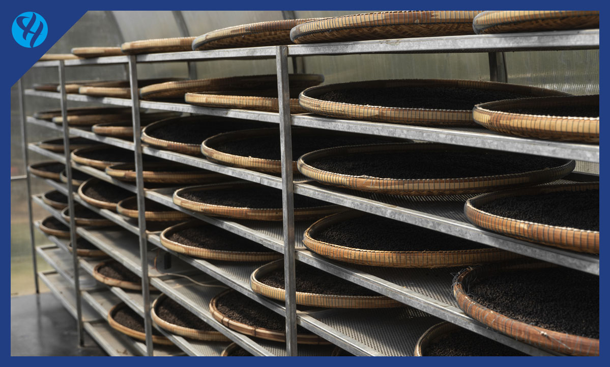 紫菜(海产品-农林特产)烘干行业