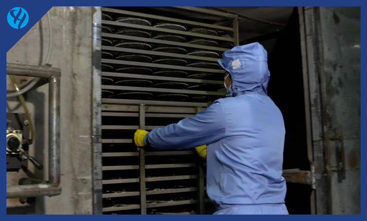 紫菜(海产品-农林特产)烘干行业