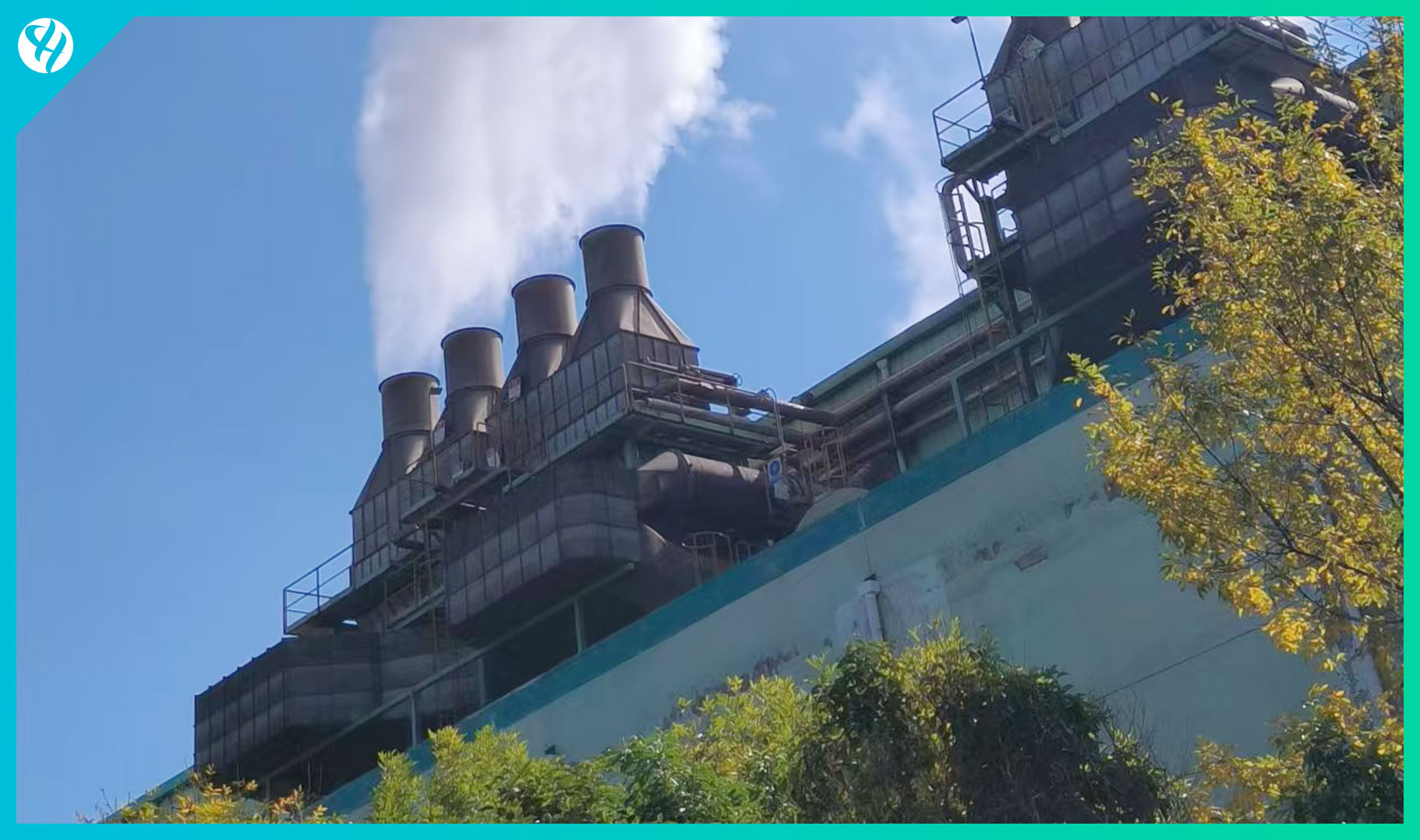 亚太森博(山东)纸浆有限公司