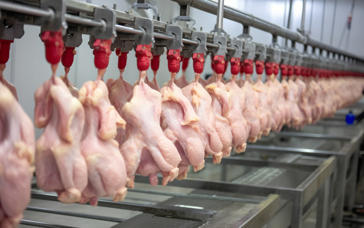 工业热泵：屠宰行业的节能新曙光