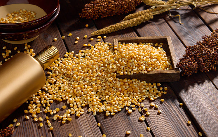 工业热泵强势赋能，玉米烘干厂开启节能增效新时代